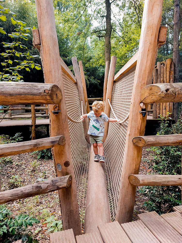 ZooParc Overloon met kinderen: route en ervaringen