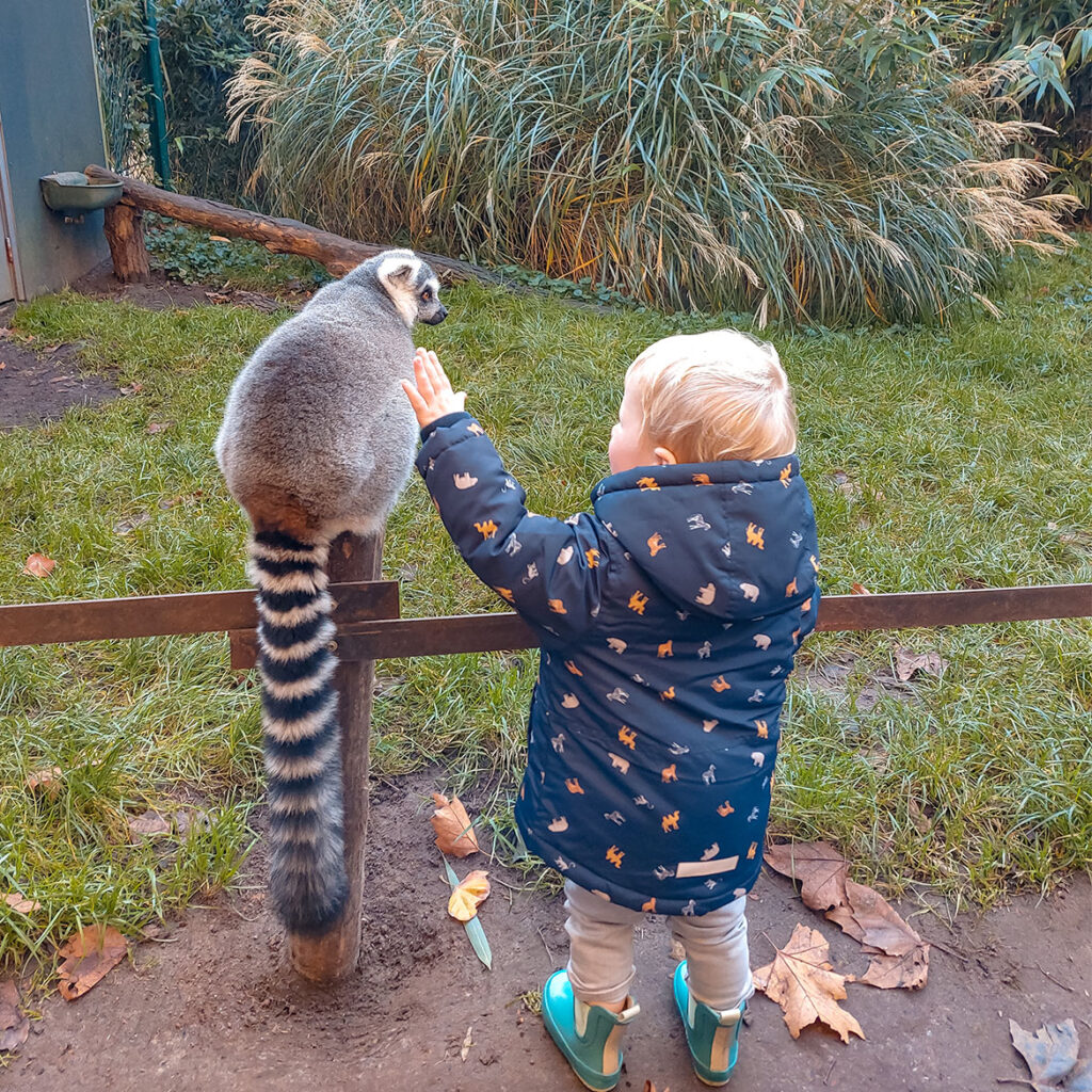 winter activiteiten uitjes familie kinderen
