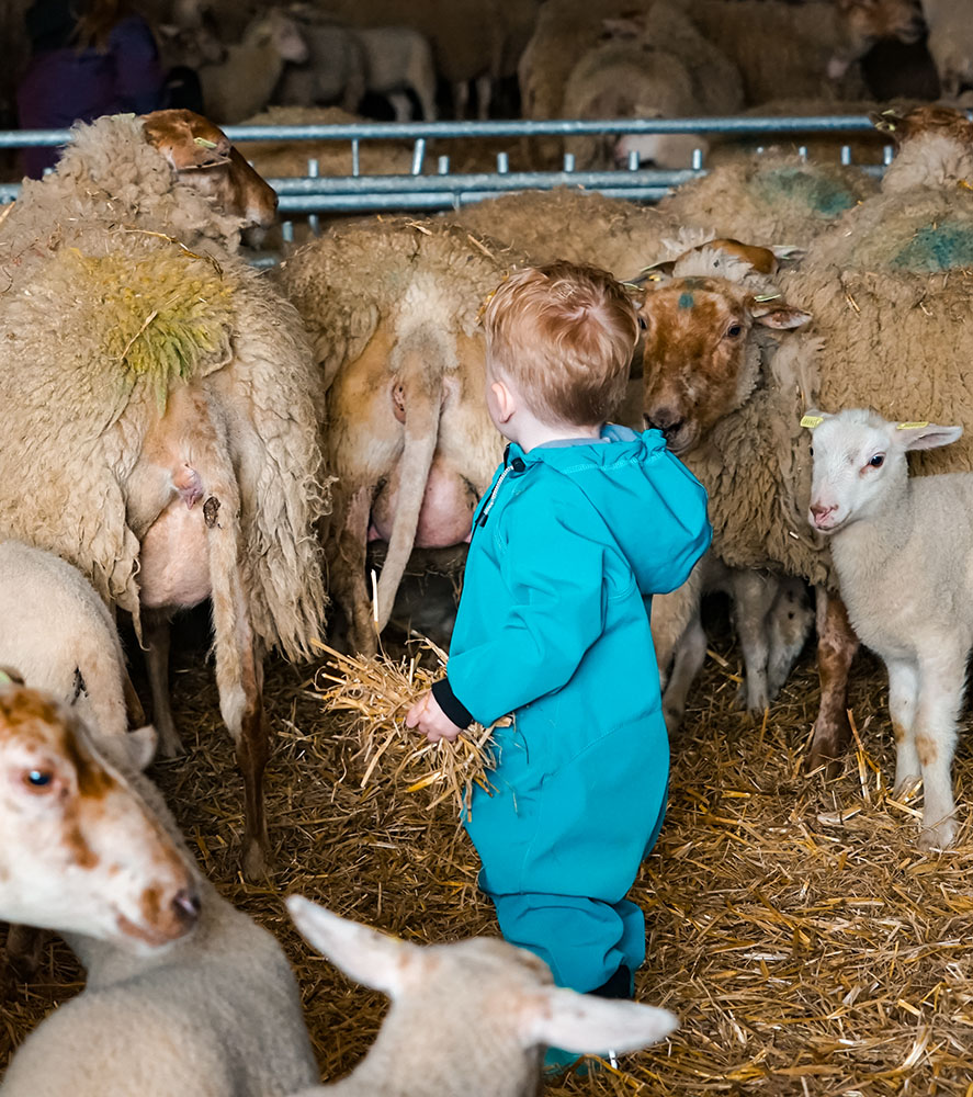 activiteiten en uitjes in de lente met kinderen familie