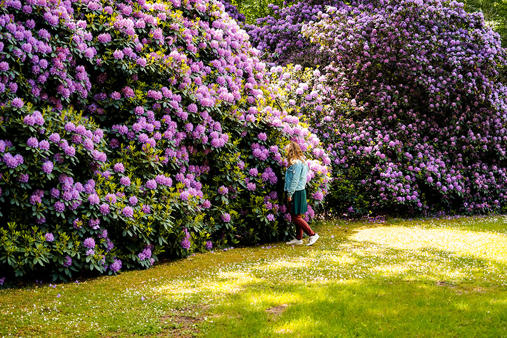activiteiten en uitjes in de lente met kinderen familie