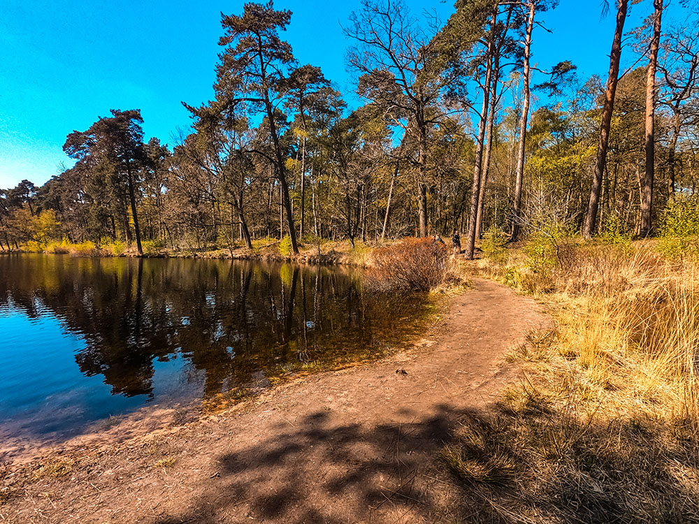 activiteiten en uitjes in de lente met kinderen familie