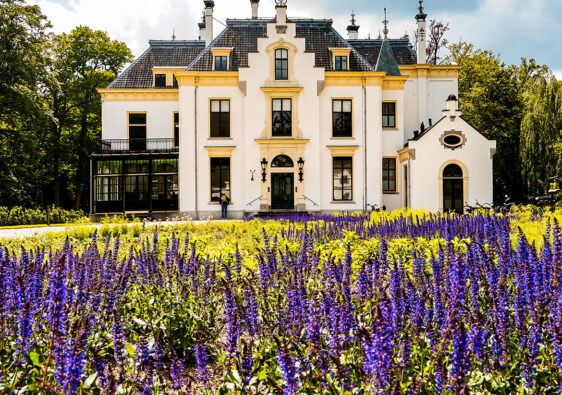 activiteiten en uitjes in de lente met kinderen familie