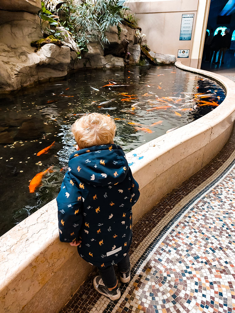 Stedentrip Antwerpen met kinderen: activiteiten en bezienswaardigheden